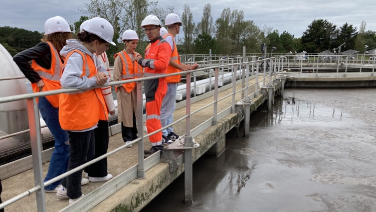 Accueil Lycée Saint Louis